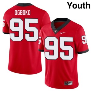 Nnamdi Ogboko Youth University of Georgia Bulldogs Embroidery #95 Red Jersey 145097-536
